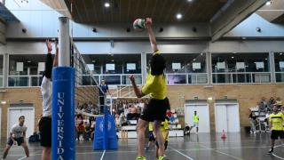 Finales Voleibol